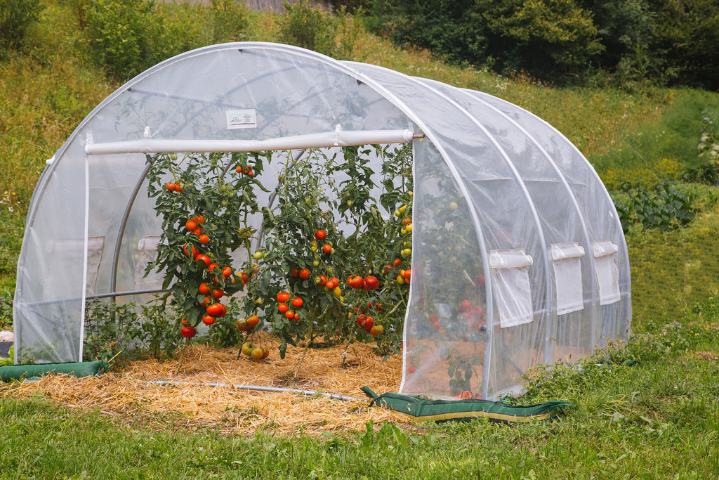 Rastlinjak Greenhouse 3x3x2m 9333